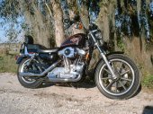 1996 Harley-Davidson Sportster 1200 photo